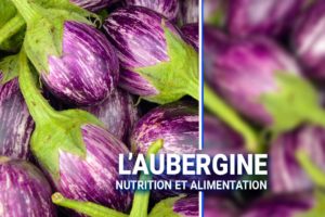 les aubergines, bienfaits