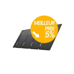 Acheter EcoFlow Panneau solaire portable EcoFlow 45 W meilleur tarif