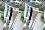Acheter Reolink Reolink Altas meilleur tarif