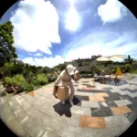 Acheter Reolink Reolink Video Doorbell (Battery) meilleur tarif